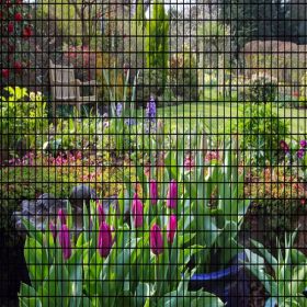 60inch x 50ft Black Vinyl Coated Hardware Cloth 2" X 4" 16Ga Welded Wire Mesh fence, PVC Coated Welded Chicken Wire Fencing