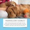 Yegbong Pet Care Drops, Pet Immune-Boosting Nutritional Supplements For Dogs And Cats